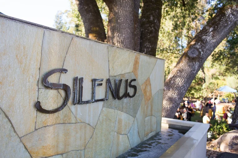 Silenus Vintners, a dog-friendly winery in Napa, California