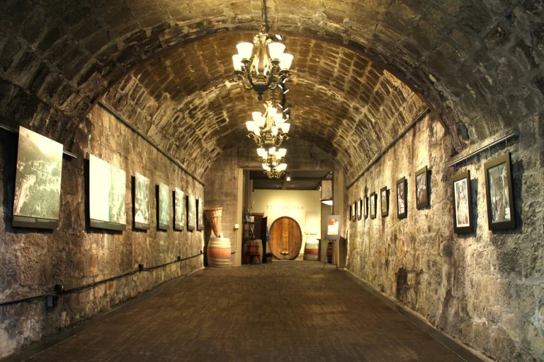 Testarossa Winery, a dog-friendly winery in Carmel Valley, California