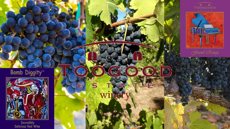 Toogood Estate Winery, a dog-friendly restaurant in Fair Play, California