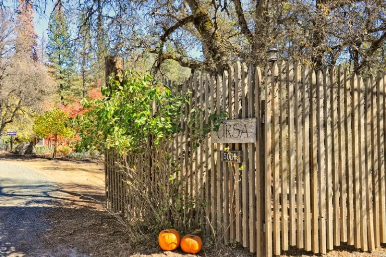 Ursa Vineyards, a dog-friendly winery in Placerville, California